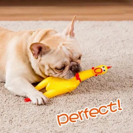 Chicken Pet Chew Squeeze Toys