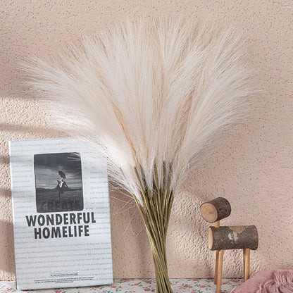 Pampas Grass Decor