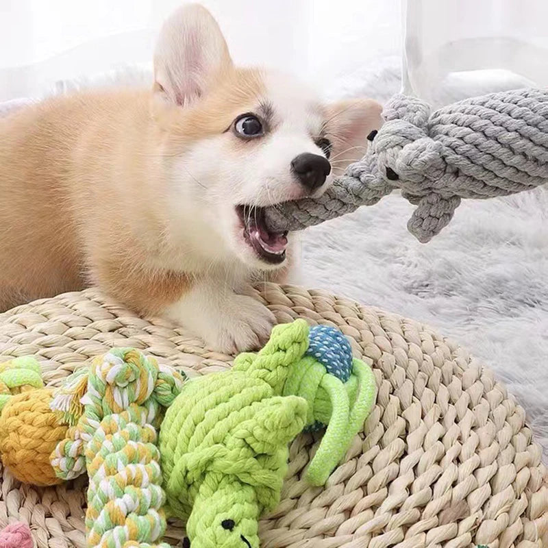 Yappy Play